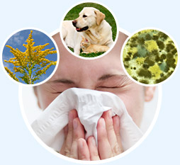 Natural Allergy Desensitization and Elimination